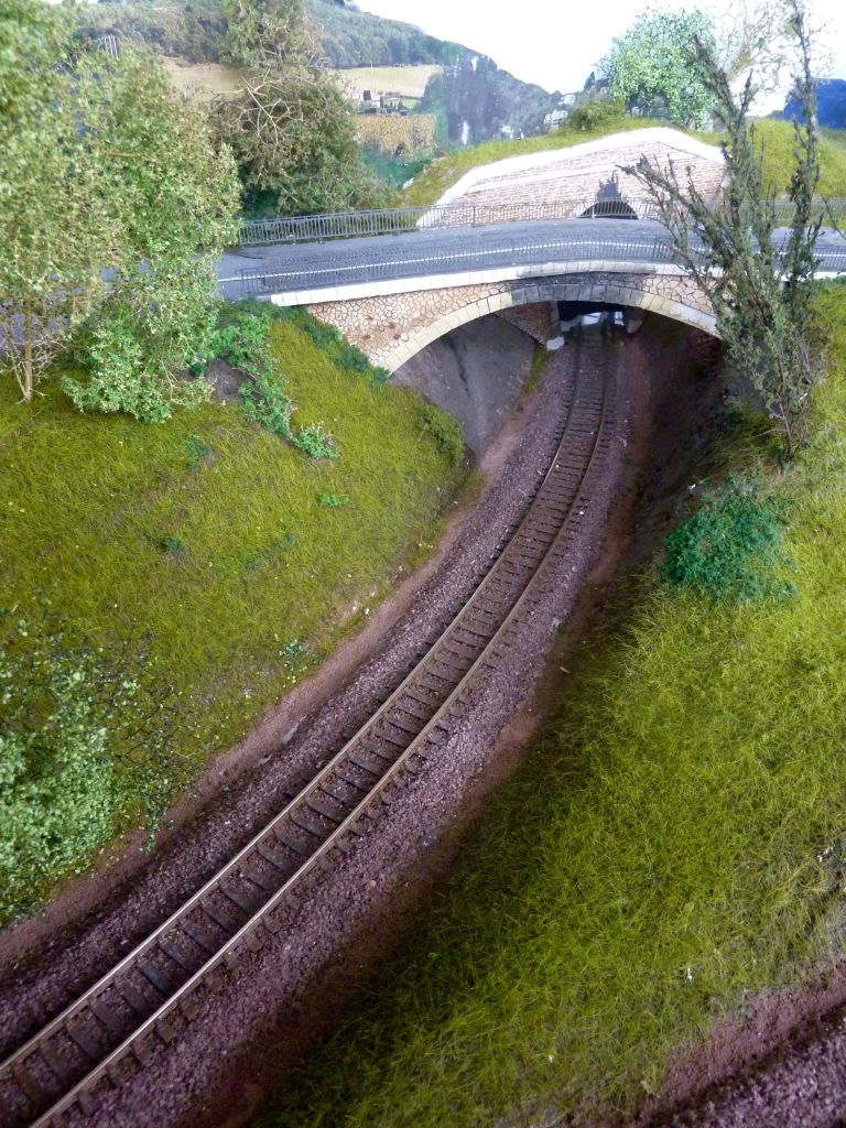 P1370490%2520%25281%2529