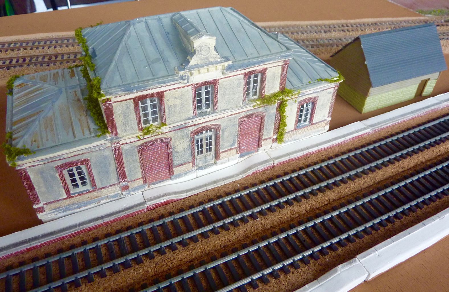 P1370494%2520%25281%2529