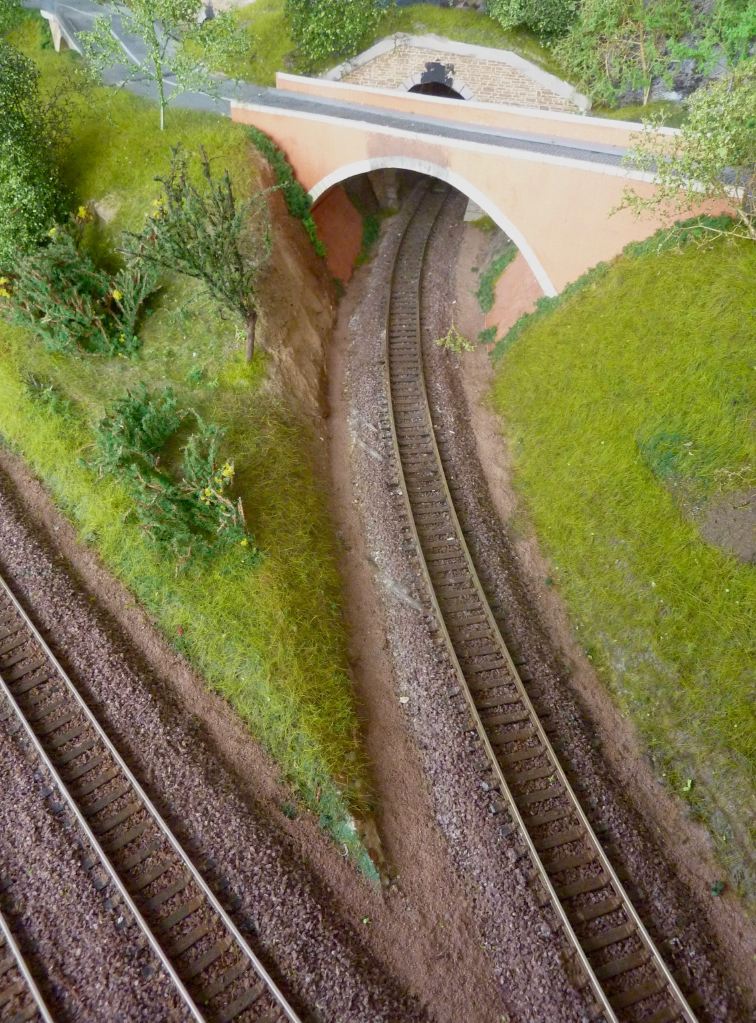 P1370501%2520%25281%2529